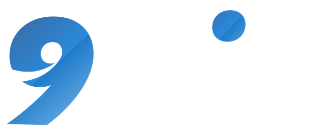 9WIN Logo
